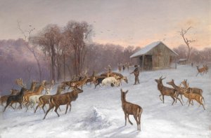 Alimentación de ciervos y gamos en invierno